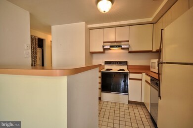 723 S Charles St unit 201, Baltimore, MD 21230 - photo 7