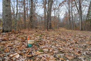 Willis Rd-7