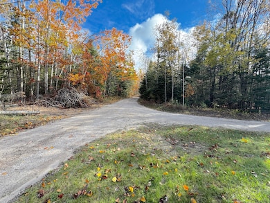 10285 Scanlon Dr, Cheboygan, MI 49721 - photo 4