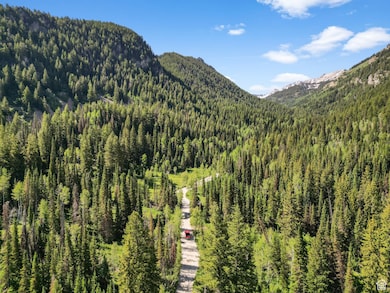 9443 Wild Clematis Ln unit 1, Brighton, UT 84121 - photo 3