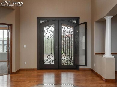 Beautiful custom iron door