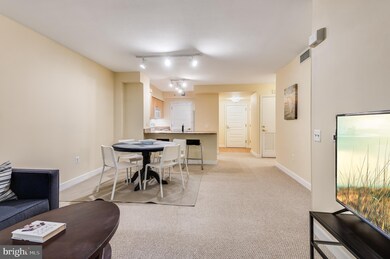 The Lafayette at Penn Quarter unit 230, Washington, DC 20004 - photo 7