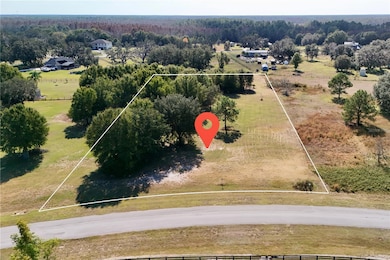 0 Greengrove Blvd unit MFRO6361241, Clermont, FL 34711 - photo 6