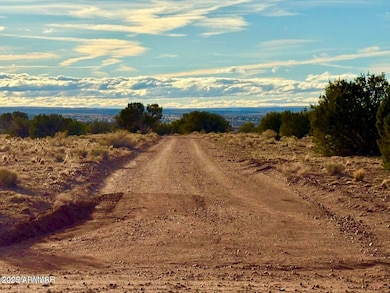 480 County Road N6400 --, Saint Johns, AZ 85936 - photo 5