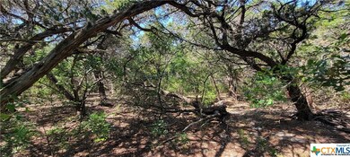 6110 Cliff Ln, Temple, TX 76502 - photo 7