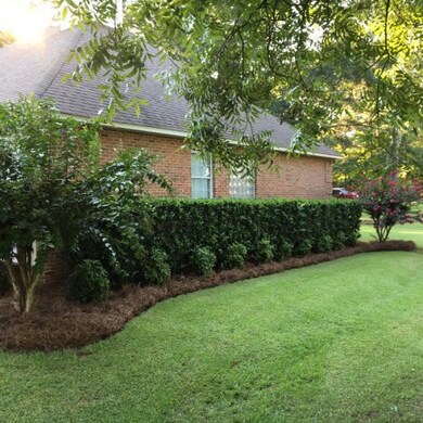 16 Chriswood Dr, Forsyth, GA 31029 - photo 3