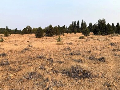 0 Crocodile unit 25654430, Bonanza, OR 97623 - photo 7