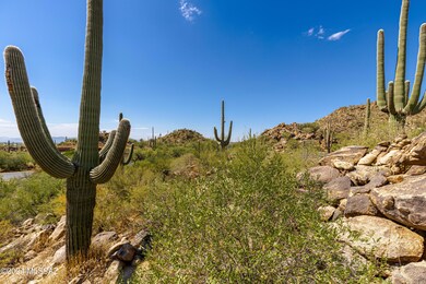 1173 W Tortolita Mountain Cir unit 182, Oro Valley, AZ 85755 - photo 7