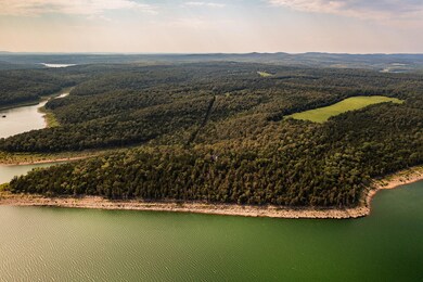 Cabin w/355 ac Bull Shoals Lake