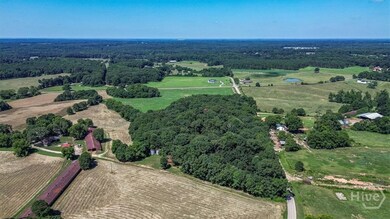 00 Moons Grove Church Rd, Danielsville, GA 30633 - photo 6