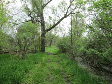 V/L Holden Rd, Glendora, MI 49107 - photo 6