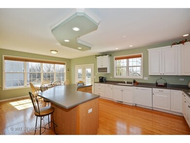 1041 Hodge Ln, Batavia, IL 60510 - photo 4