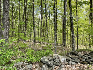 unlisted-address, Cummington, MA 01026 - photo 5
