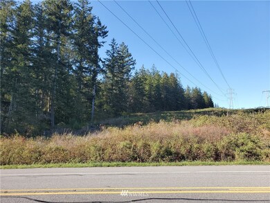0 Center Rd unit 1674675, Quilcene, WA 98376 - photo 3