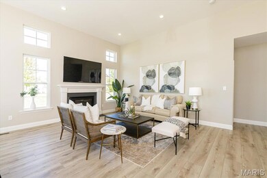 0 Unknown unit MIS25067012, O'Fallon, MO 63385 - photo 7