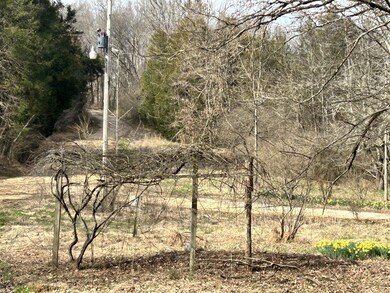 196 Petty Hollow Rd, Prospect, TN 38477 - photo 5