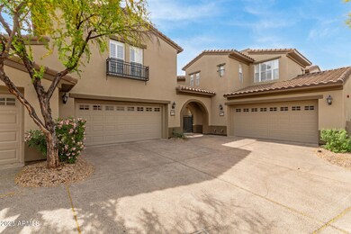 02 Grayhawk