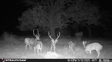 740 Optimist Way, Bandera, TX 78003 - photo 4