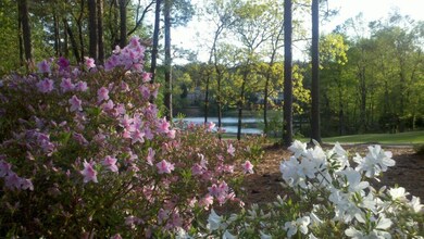 AZALEAS AND LAKE