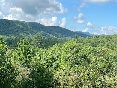 667 Laurel Thicket Ln, Brevard, NC 28712 - photo 2