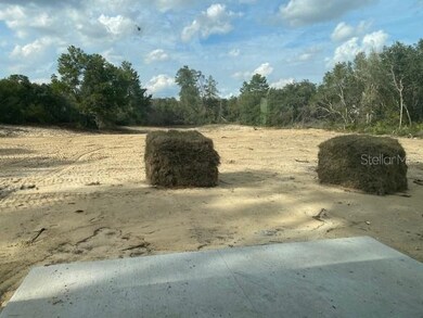 2756 SW 161st Loop, Ocala, FL 34473 - photo 4