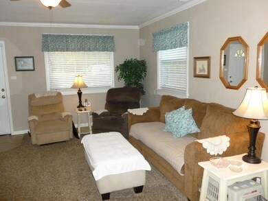Living room - corner windows