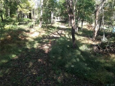 5795 Blue Church Rd, Coopersburg, PA 18036 - photo 6