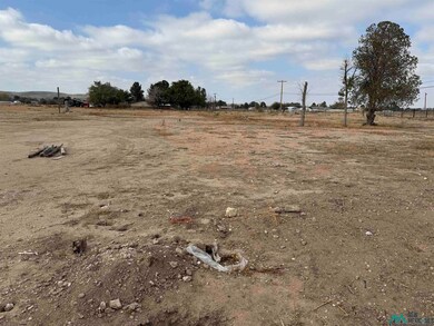 2003 Standpipe Rd, Carlsbad, NM 88220 - photo 6