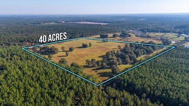 3-web-or-mls-Wallace Rd Aerial-3