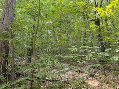 28 Appenvel Way, Madison, NH 03849 - photo 2