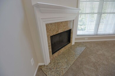Fireplace with Granite Surrond