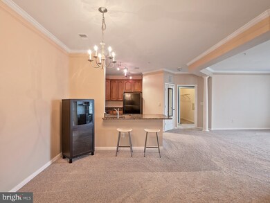 24701 Byrne Meadow Square unit 211, Aldie, VA 20105 - photo 7