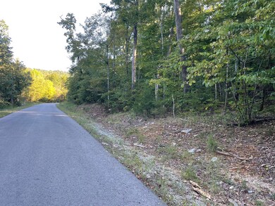 Tract 5 Cumberland Ridge Dr, Somerset, KY 42501 - photo 4