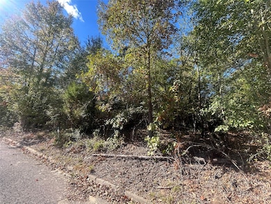 10 Bayshore Dr, Athens, TX 75752 - photo 2