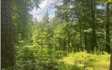 Additional View