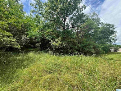 6391 Highway 13, Haleyville, AL 35565 - photo 2