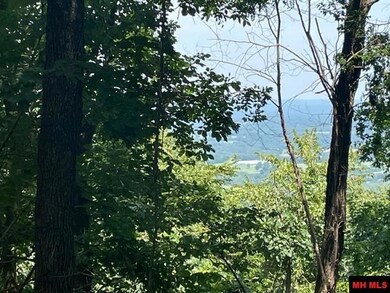 3721 Thousand Oaks Dr, Yellville, AR 72687 - photo 2