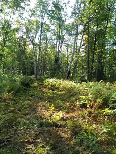 00 Slate Ledge Rd, Littleton, NH 03561 - photo 6