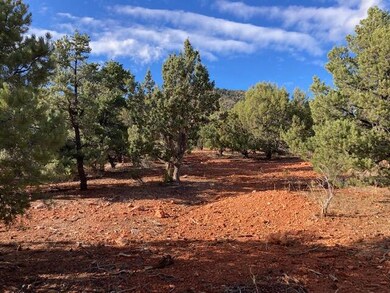 Nicely Wooded