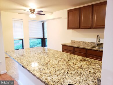 11212 Chestnut Grove Square unit 115, Reston, VA 20190 - photo 6