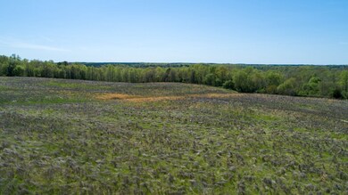 24512 Highway 58, Baskerville, VA 23915 - photo 4