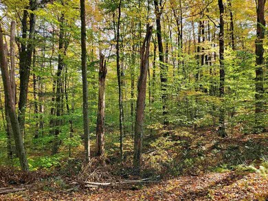 0 Miller Ln, Williamsville, VT 05362 - photo 6