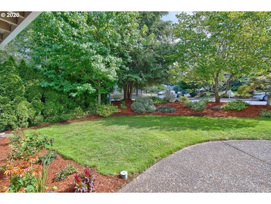 Front Yard