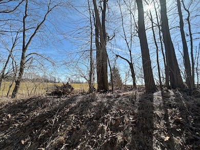 0 W Braun Rd unit 25009478, Saline, MI 48176 - photo 3