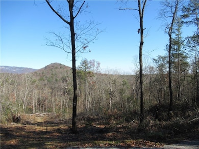 Tracts 34, 35, 36 Curts Way, Cleveland, SC 29635 - photo 5