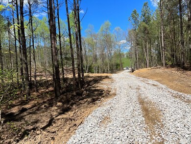 32 Ac Thomas Springs Rd, Crossville, TN 38572 - photo 7