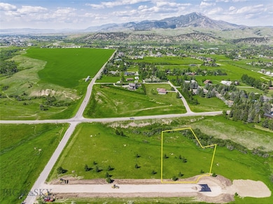 145 Blossom Way, Bozeman, MT 59715 - photo 2