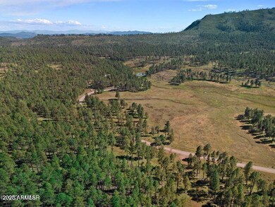 1A Forest Road 26 --, Alpine, AZ 85920 - photo 4