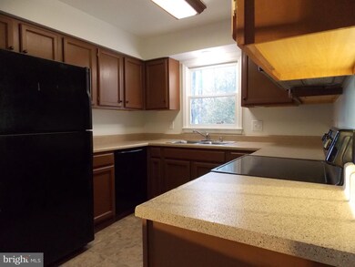 11004 Westminster Ct, Fredericksburg, VA 22407 - photo 4