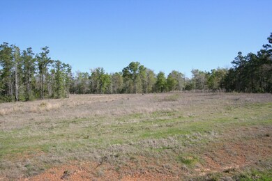 21299 Big Buck Dr, Cleveland, TX 77328 - photo 6